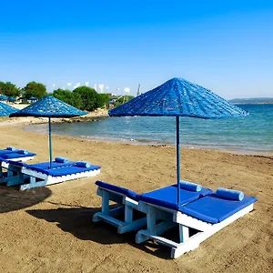 book here